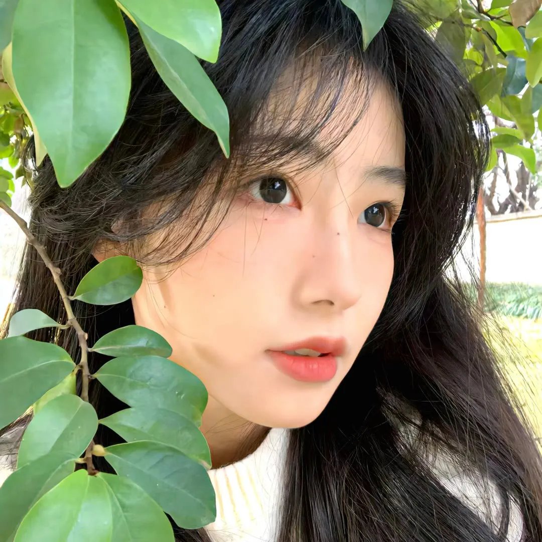 阿尔及尔的末代王后